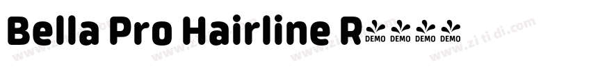 Bella Pro Hairline R字体转换